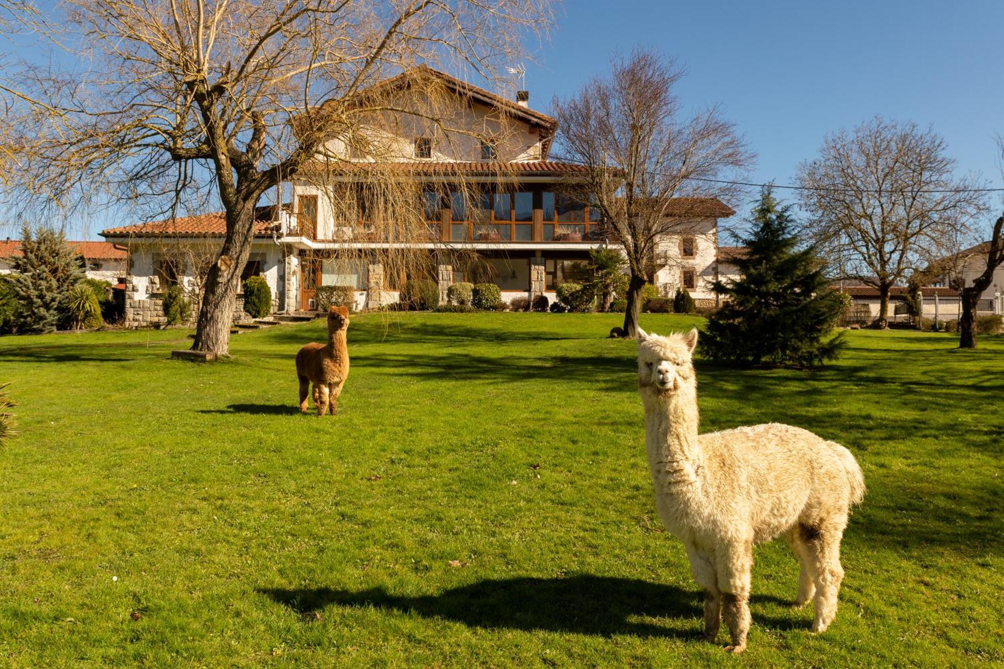 Casa Rural Flor De Vida - B&B Lizaso Buitenkant foto